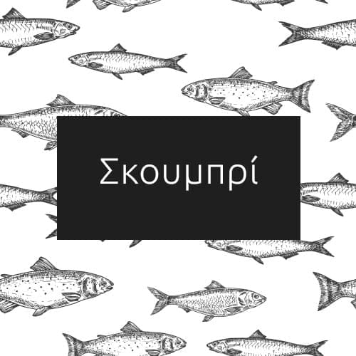 Σκουμπρί